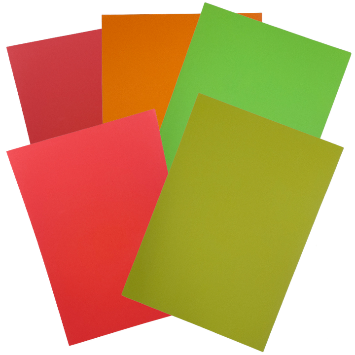 TRANSPARENT (1).png