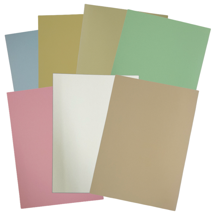 TRANSPARENT (1).png
