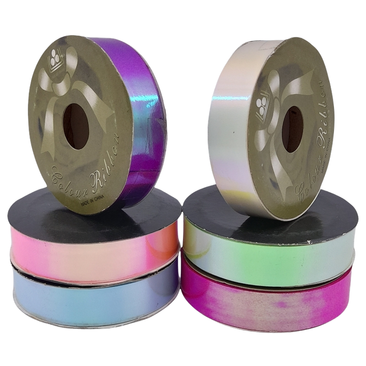 TRANSPARENT (1).png