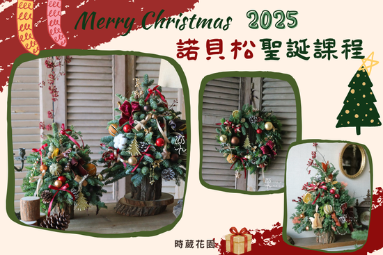 2025諾貝松聖誕課程 | 時葳花園 台中花店推薦 西屯花店 沙鹿花店 中科花店∣台中花藝婚禮佈置課程推薦、台中聖誕花藝手作課程花藝課、台中母親節情人節花禮推薦、日本不凋花AUBE花藝證照、法國PIVERDIE花藝證照、法式花藝