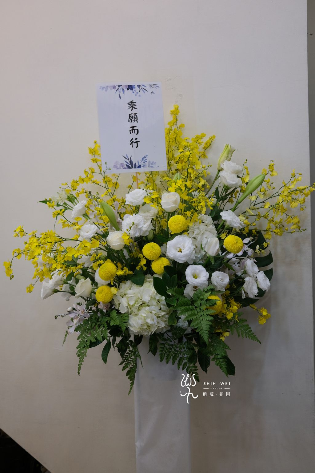 DSCF4380