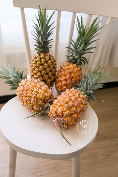 DSCF4561