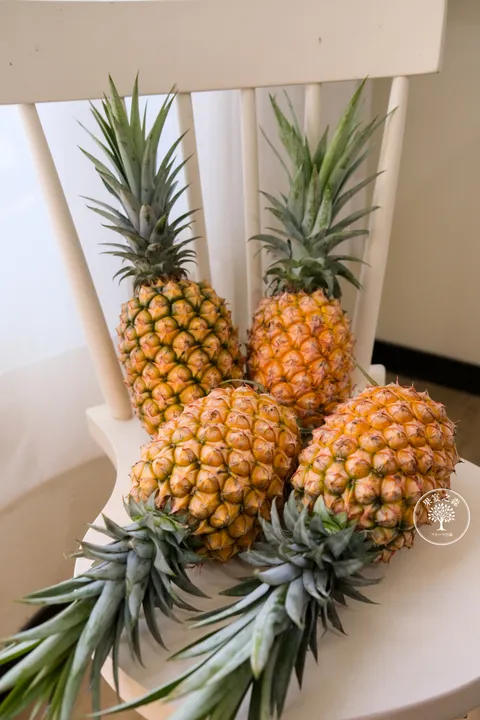 DSCF4564
