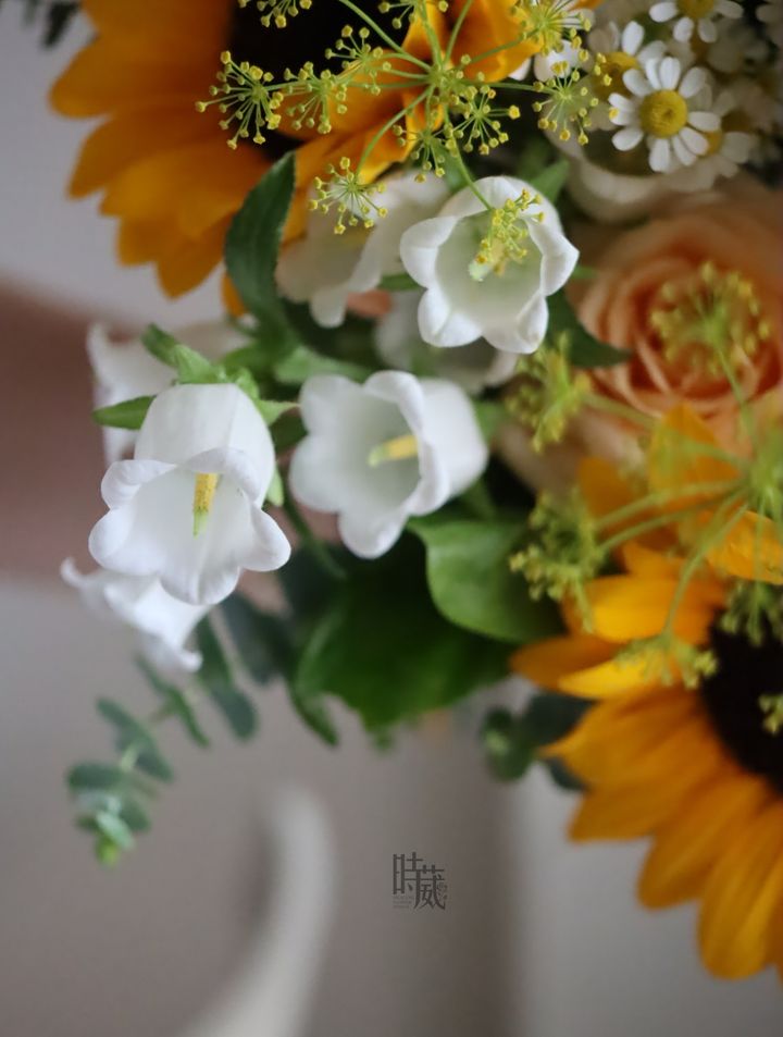 DF4EE634-4BCB-467A-B09B-8785E2E5BC70.jpeg