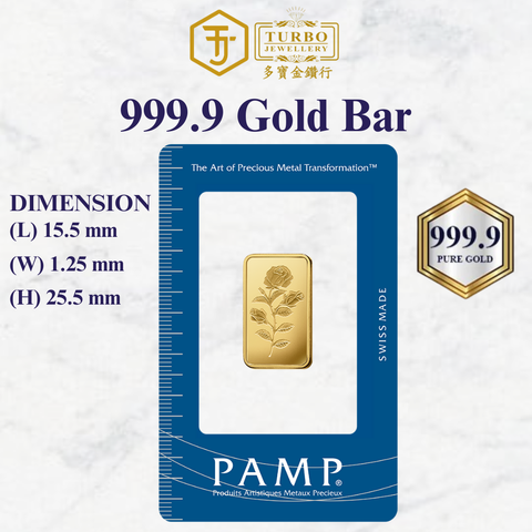 PAMP 221