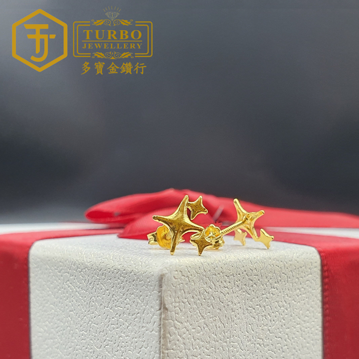 916G 耳环 2 446