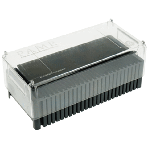 pamp-gold-or-silver-bar-storage-box