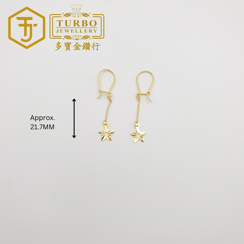 耳环 (55)