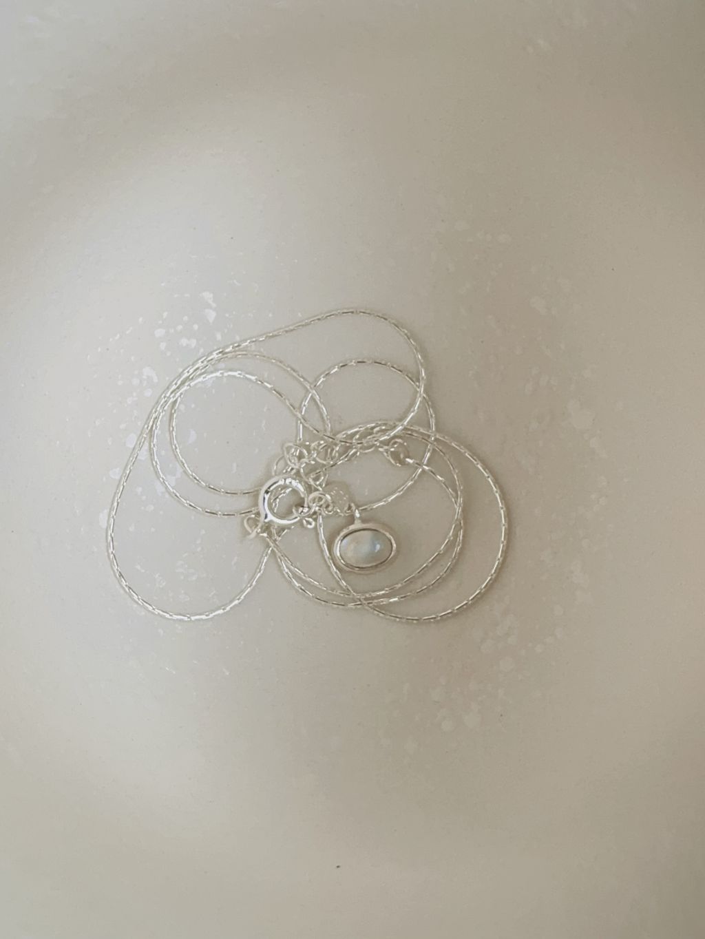 image_0804AA1C-1D73-43F5-B190-529721EDBA87_1750405201