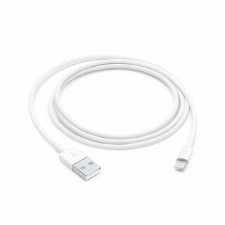 Apple Lightning to USB Cable 1.jpeg