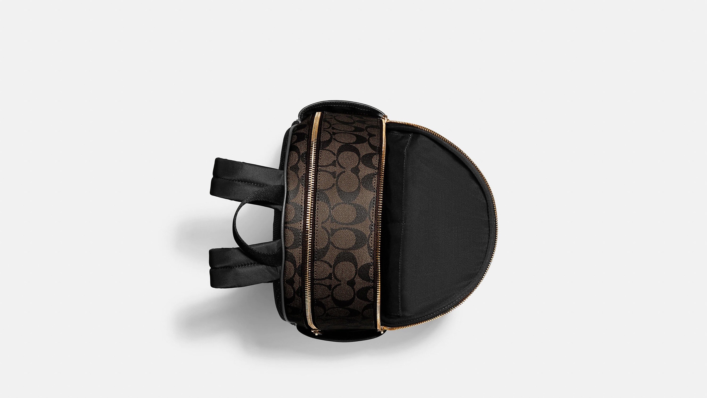 42851221.jpg?width=480