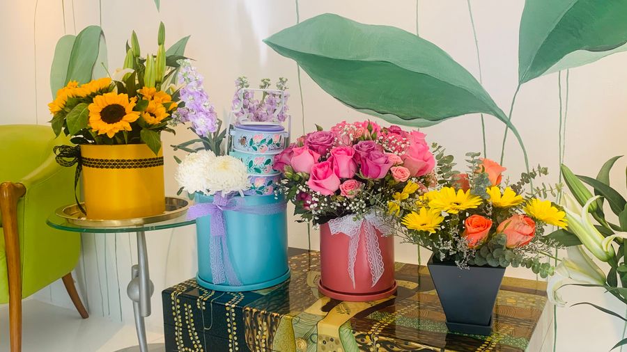 Serigreen Garden Shop | Make a Statement