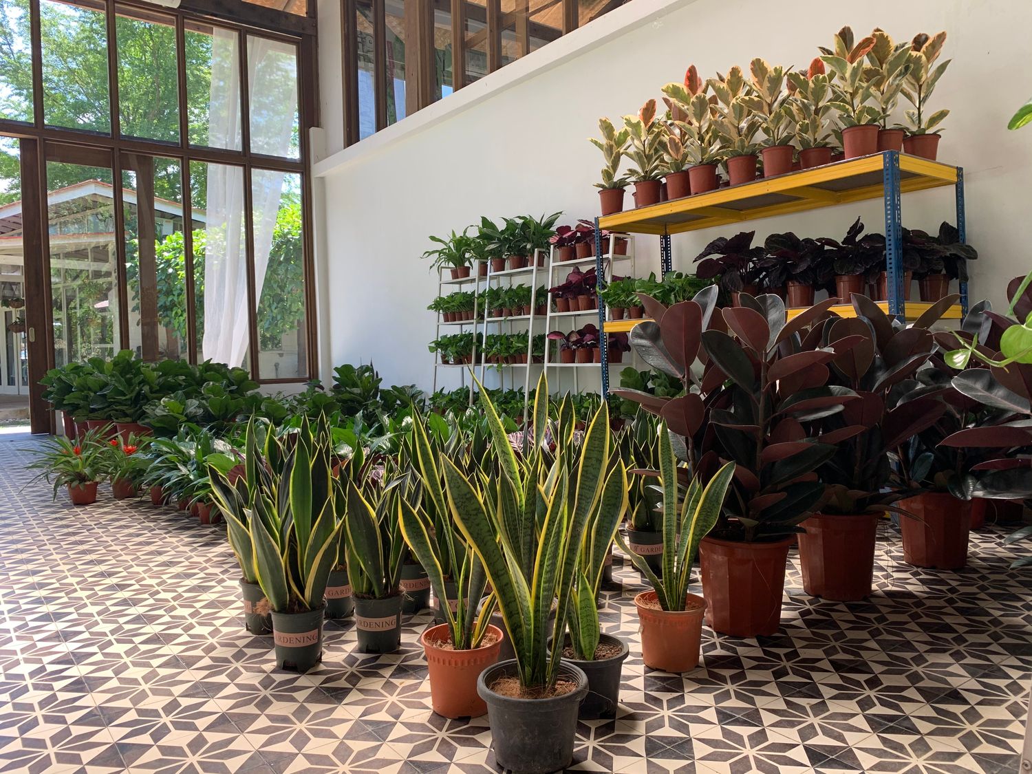 Serigreen Garden Shop | Indoor Plants