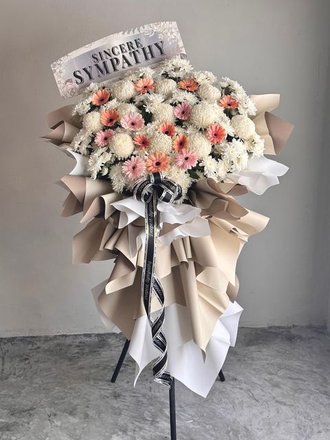 image_9C25AD42-0A79-4F2C-8272-D3EF99359F88_1772772432