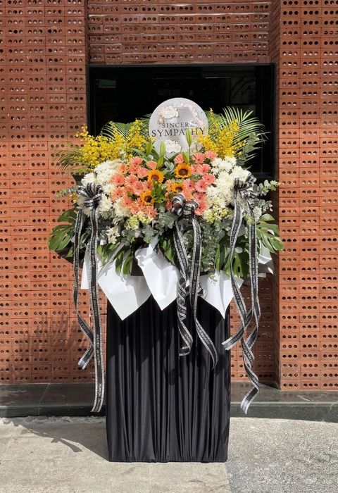 image_34360EE9-6BAF-4936-BA40-74CEF5963923_1774841314