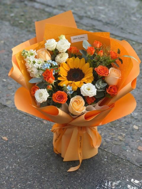 image_466A30C3-1AEB-4C6C-803A-1DF3E7336EBB_1775791298