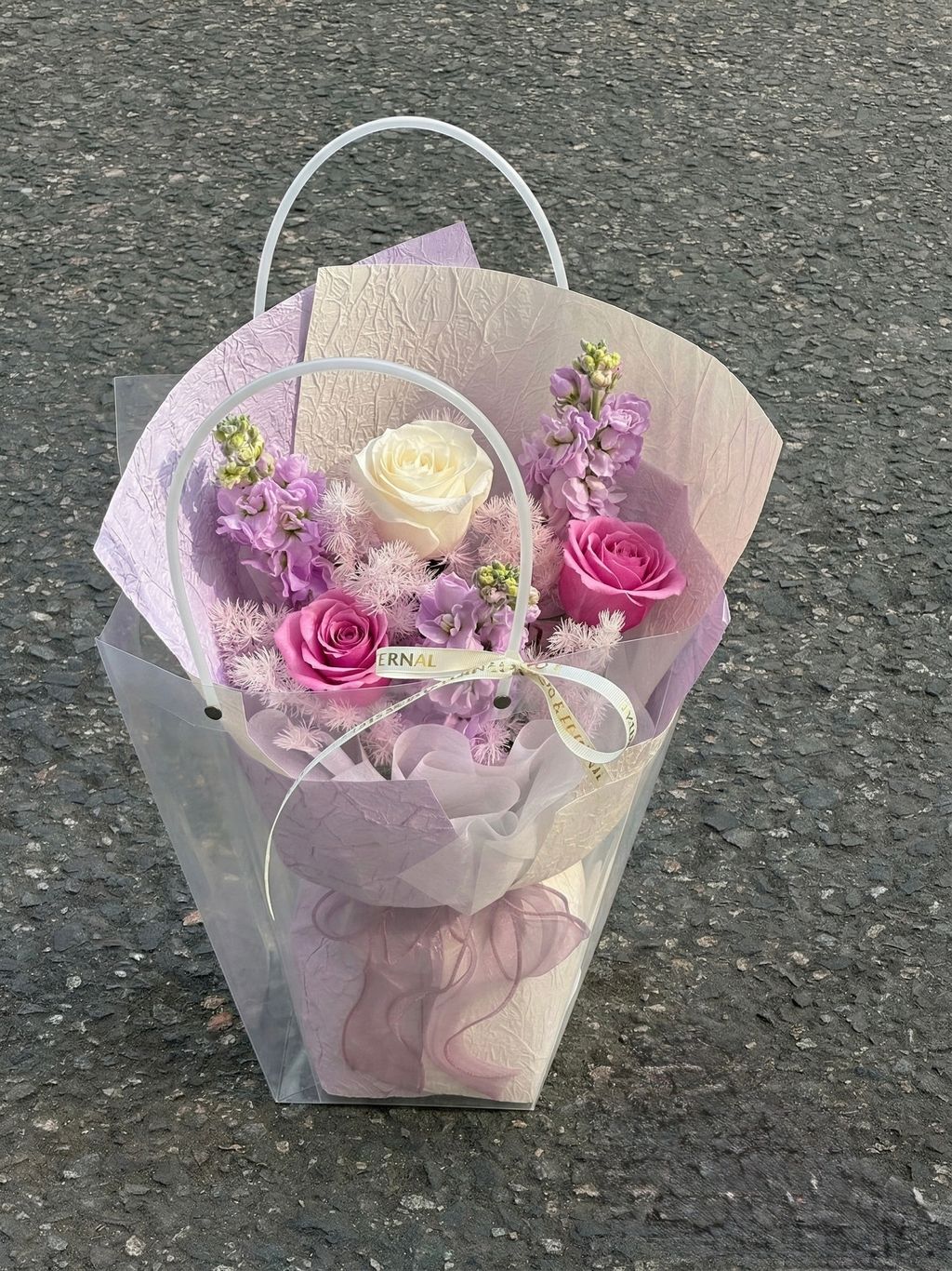 image_F600ACA7-7248-4A75-A9B3-2A7B891AF3FA_1776736856