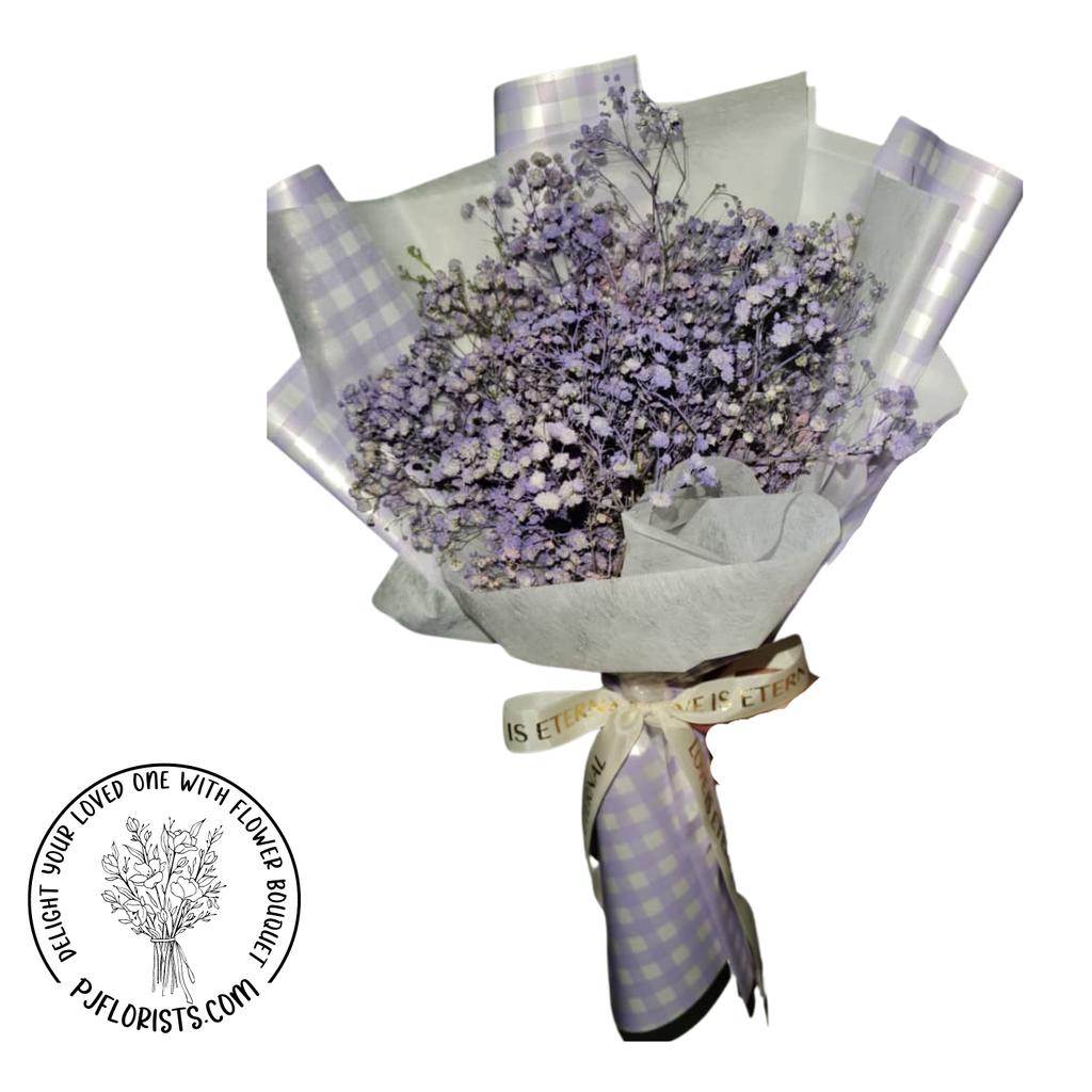 817593 Purple Baby Breath.png