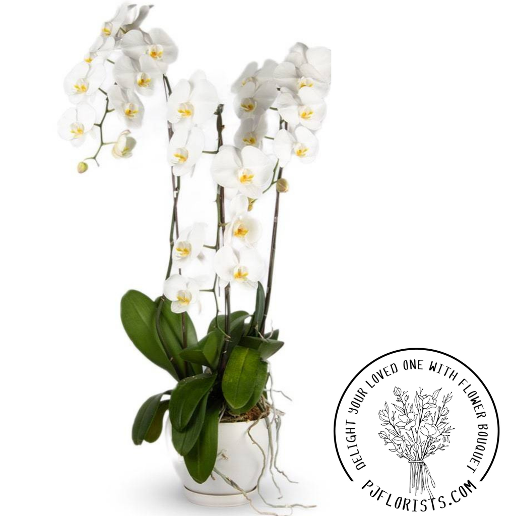 INA-FLOWER 1 (32).png