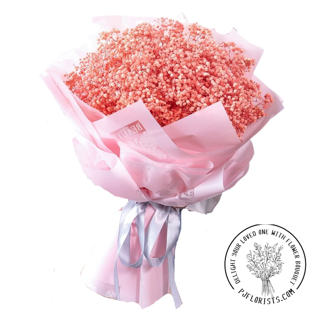 PJFlorists.com | Featured Collections - Baby Breath