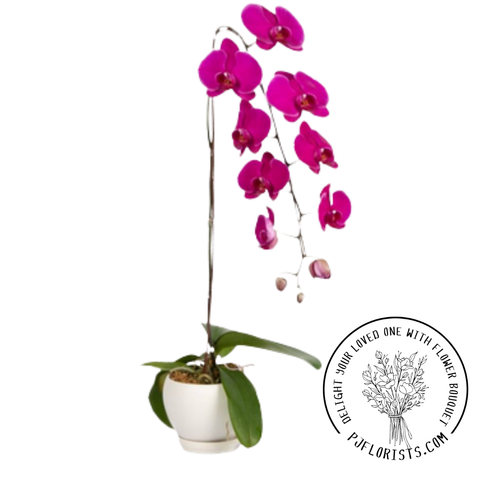 Copy of INA FLOWER 5 (1500 x 1500 px).png