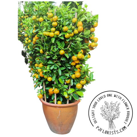 INA FLOWER CNY 1 (1500 x 1500 px) (1).png