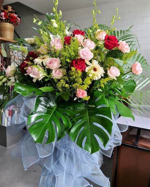 WhatsApp Image 2022-10-06 at 10.17.47 AM