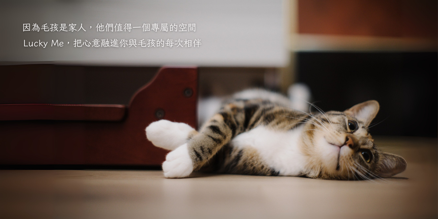  | Lucky Me 寵物設計