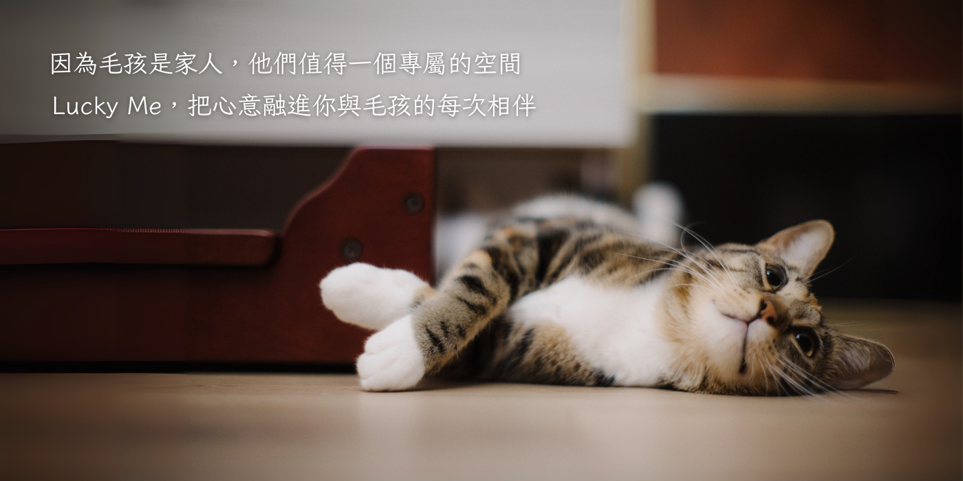  | Lucky Me 寵物設計