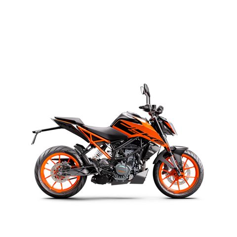 200 DUKE 2 WEB