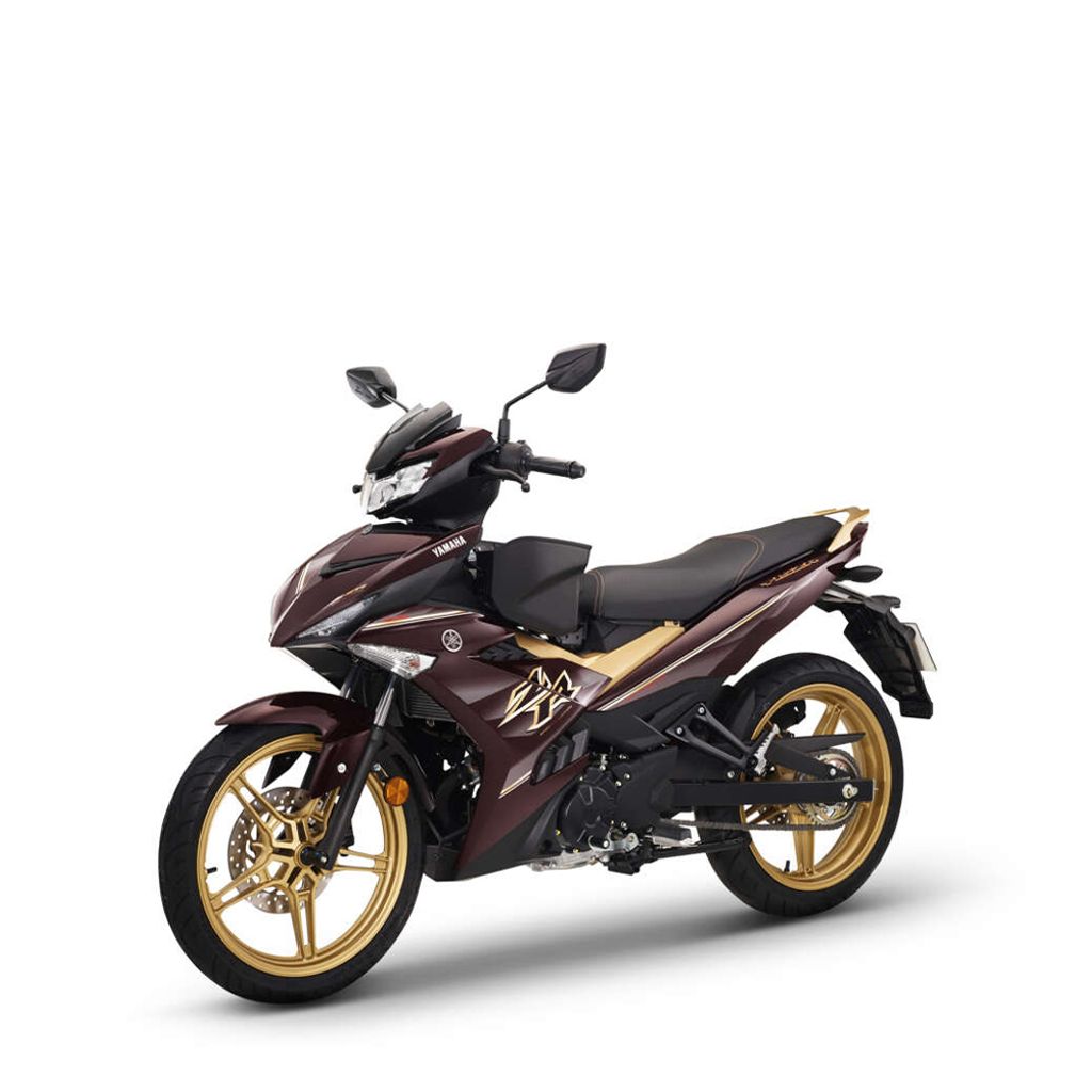 Y15ZR-SE-Marron web