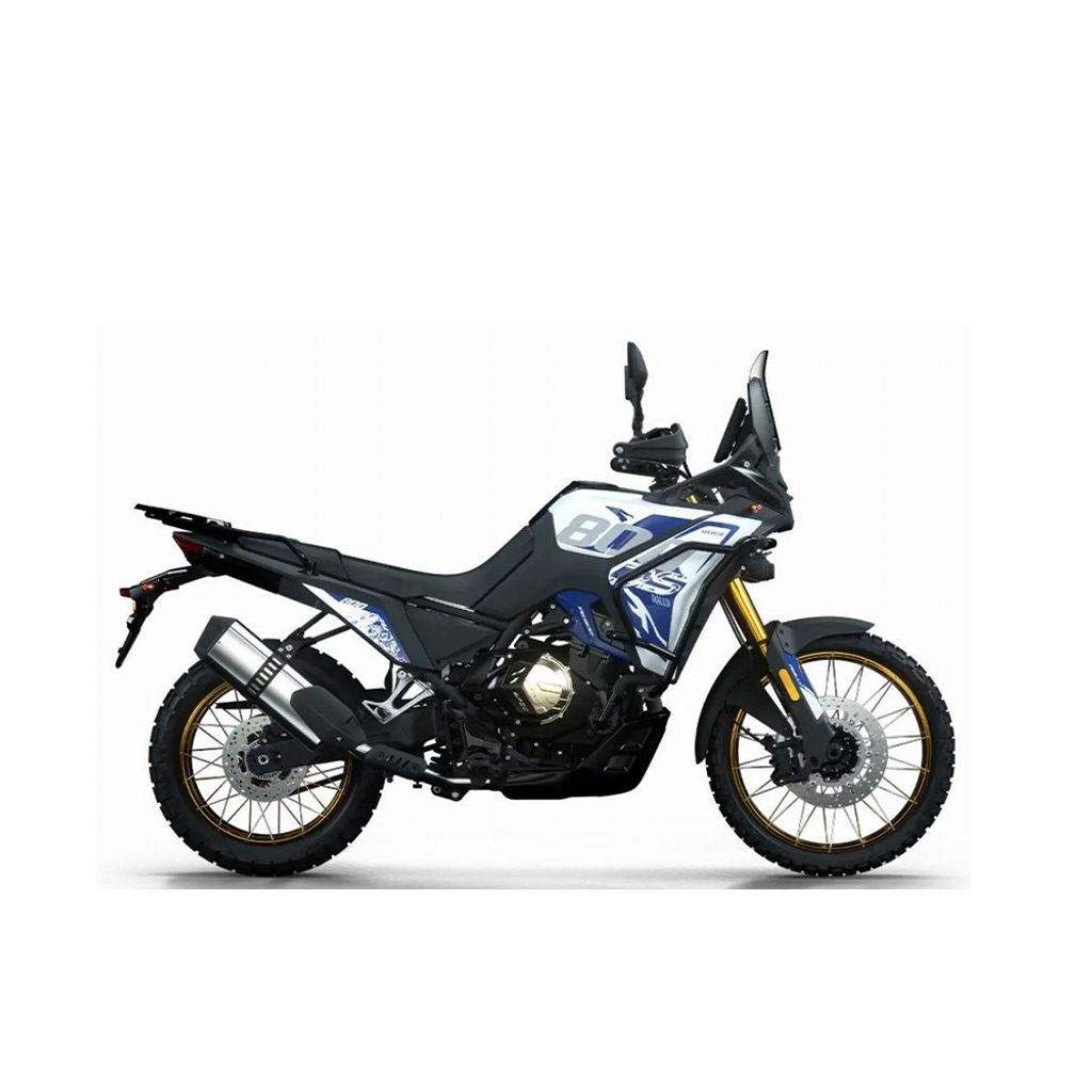 web DS800X Rally White