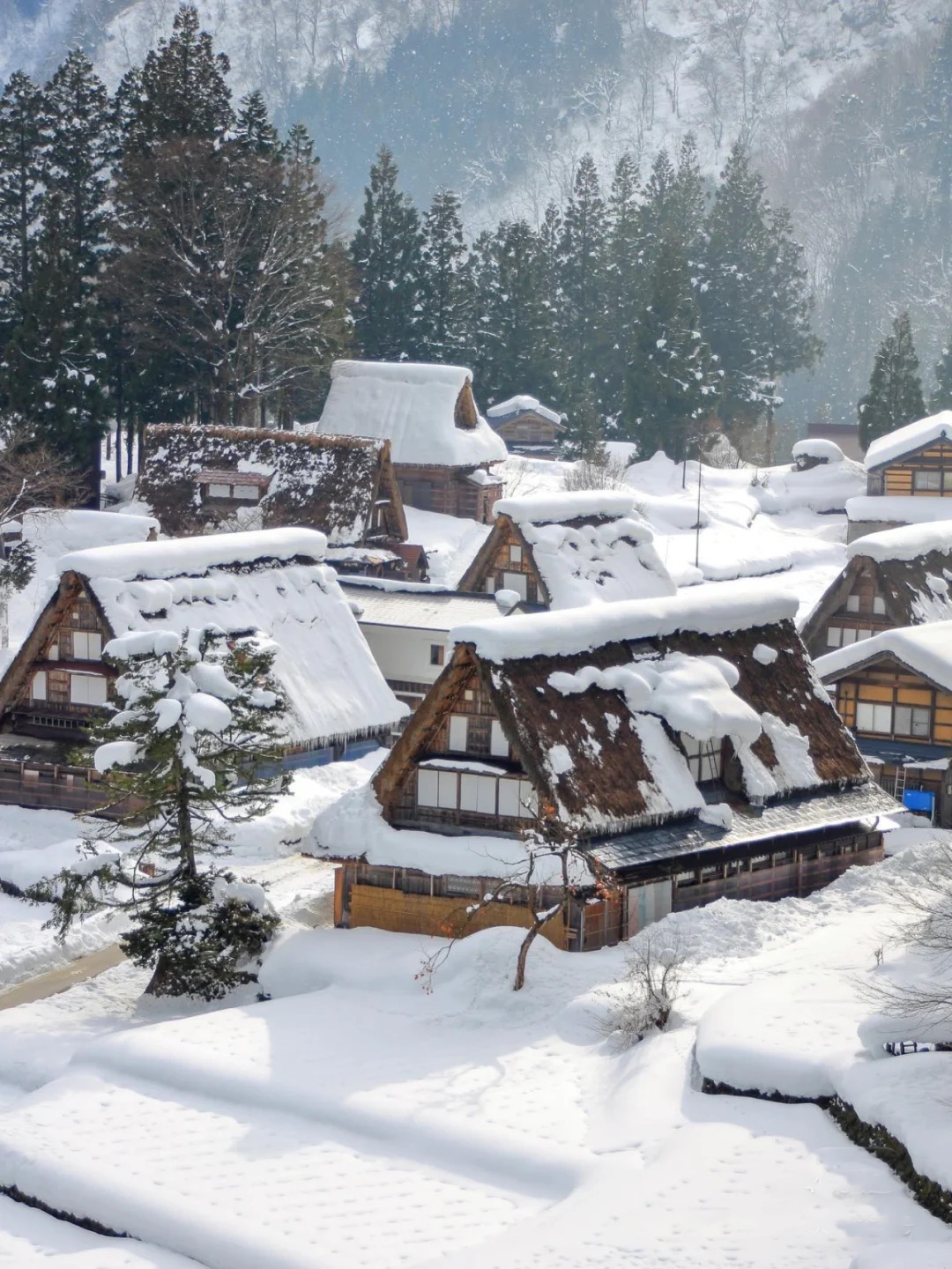 Shirakawa-go Village, Japan plango travel itinerary travel planner