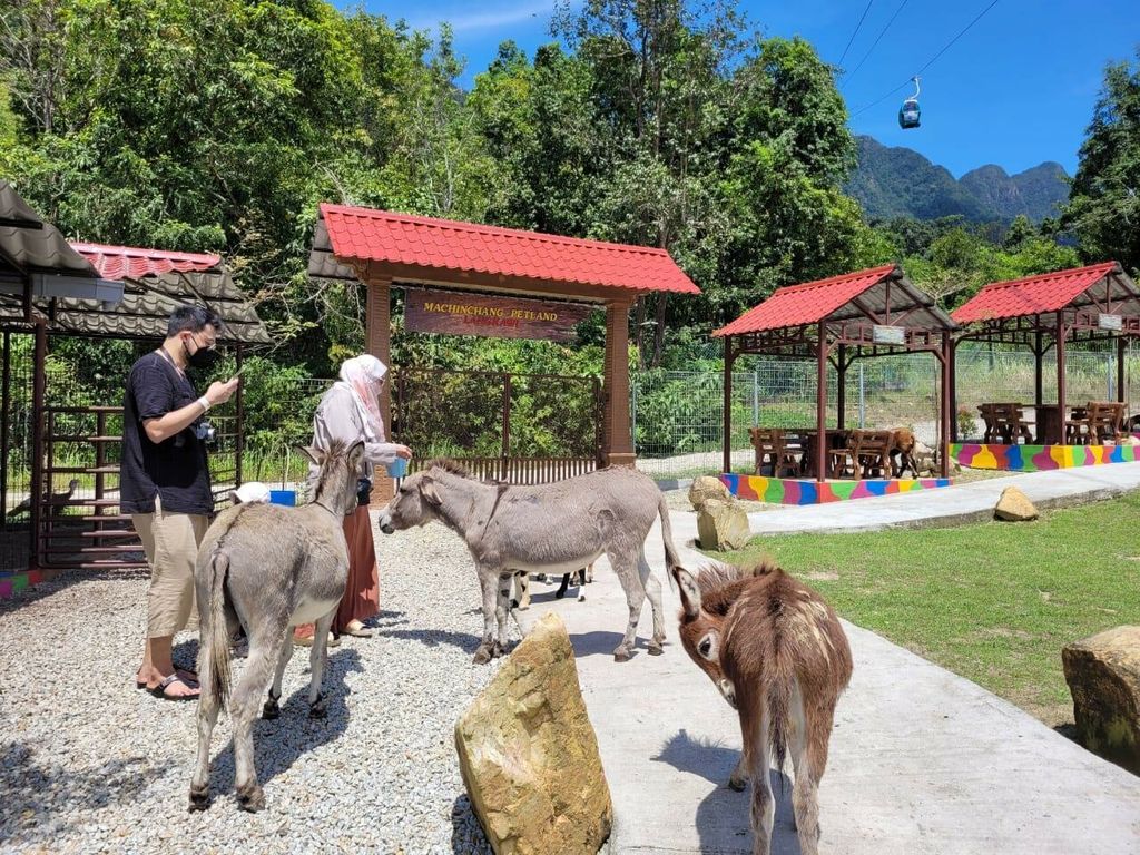 Machinchang Petland Langkawi.jpg
