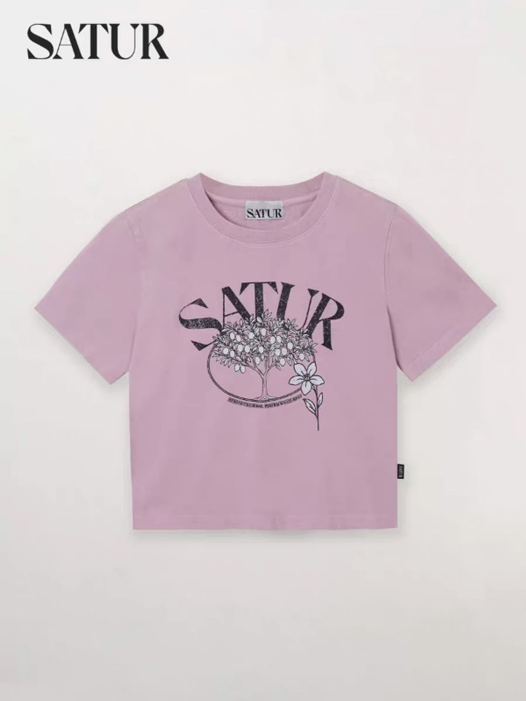 wsxc1778080314613_4