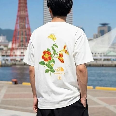 messageImage_1781071263377_0