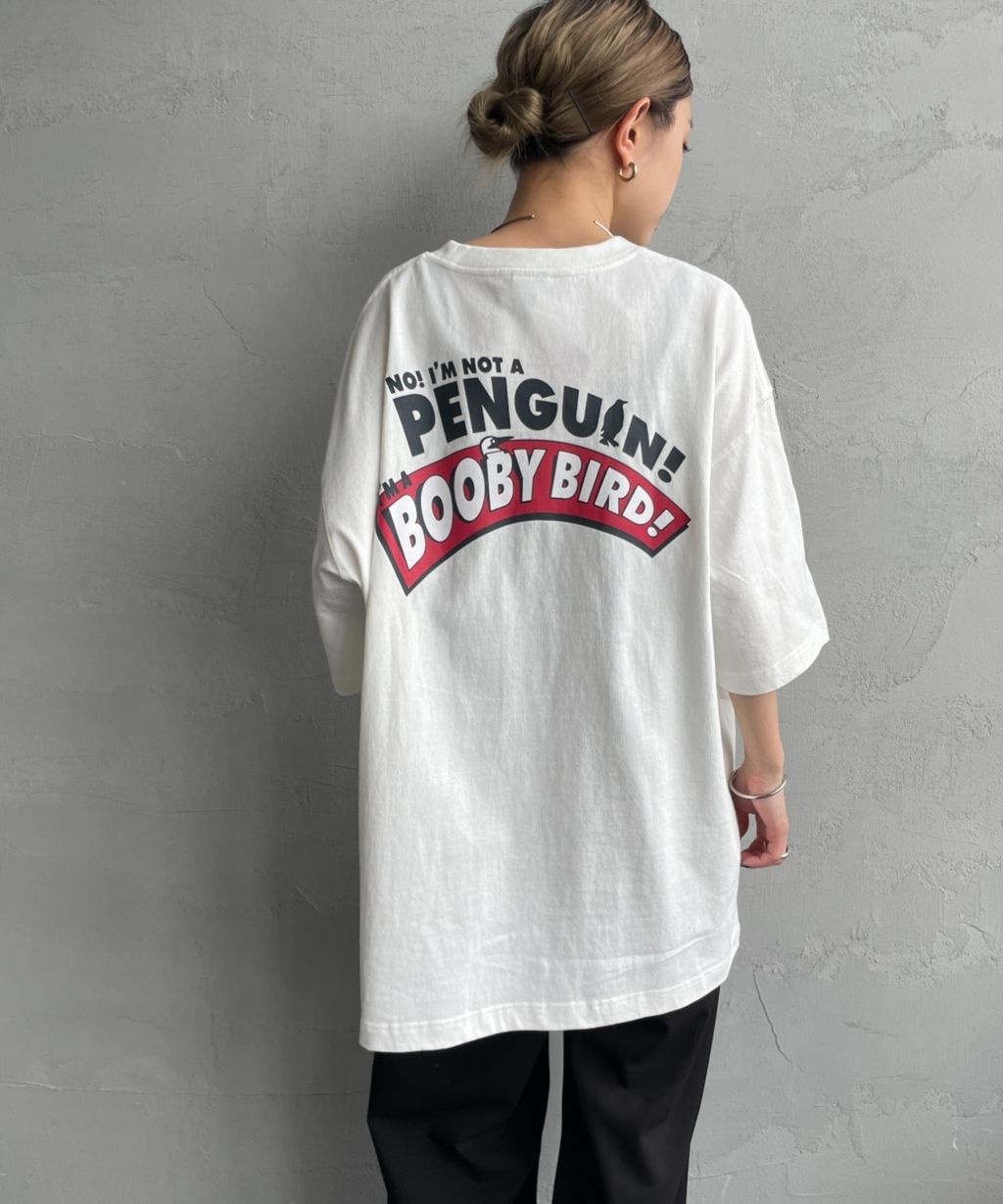 IMG_6324-1742343315673