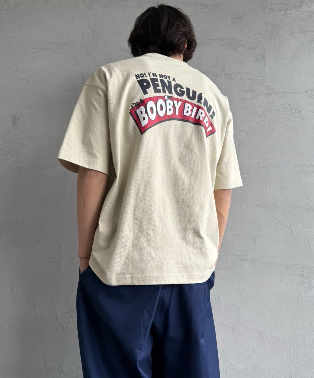 IMG_6354-1742343315718