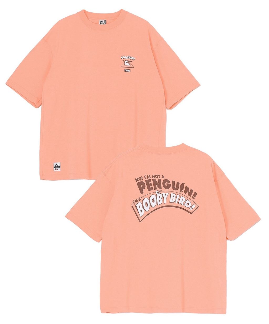 IMG_6378-1742343315798