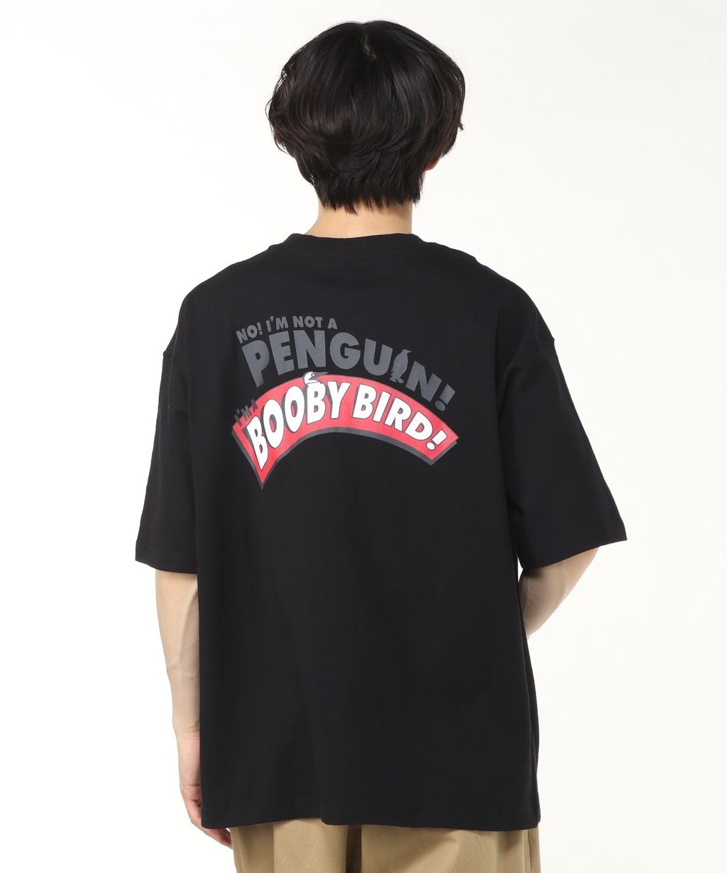 IMG_6381-1742343315805