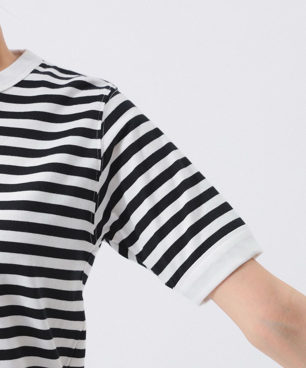 IMG_6519-1742433337849