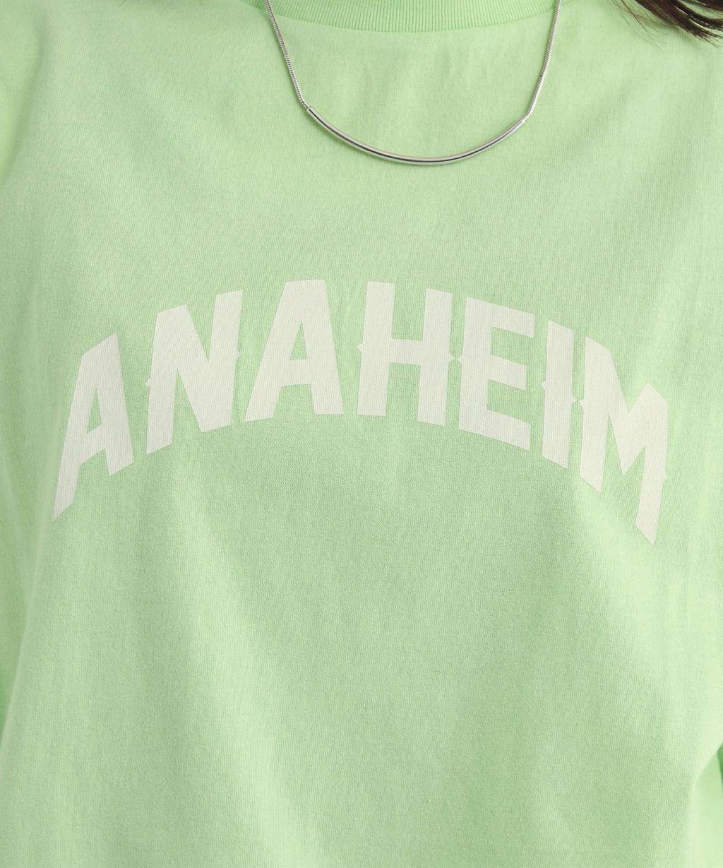 IMG_6667-1742777473250