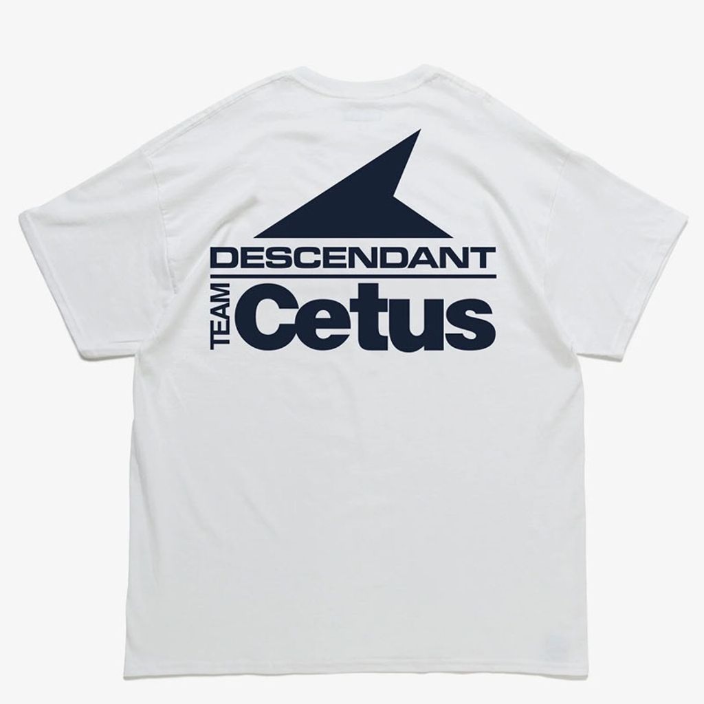 IMG_7400-1744080104050