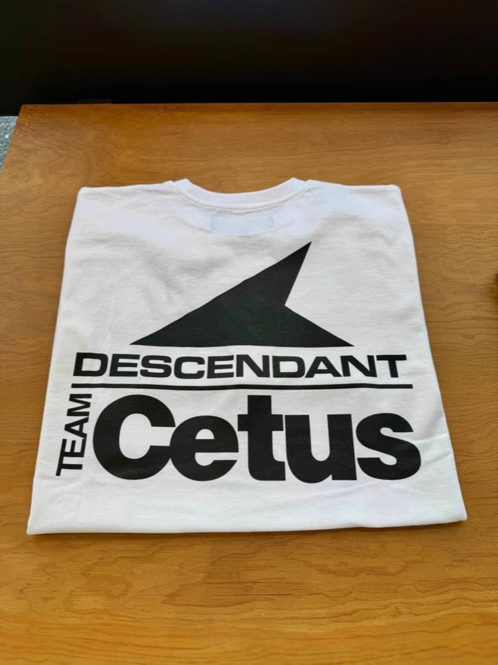 IMG_7403-1744080103996