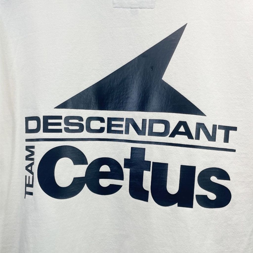 IMG_7401-1744080104021