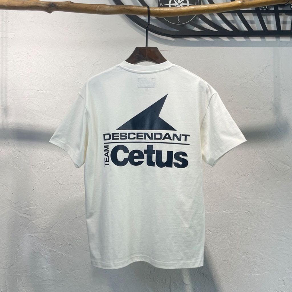 IMG_7407-1744080104031