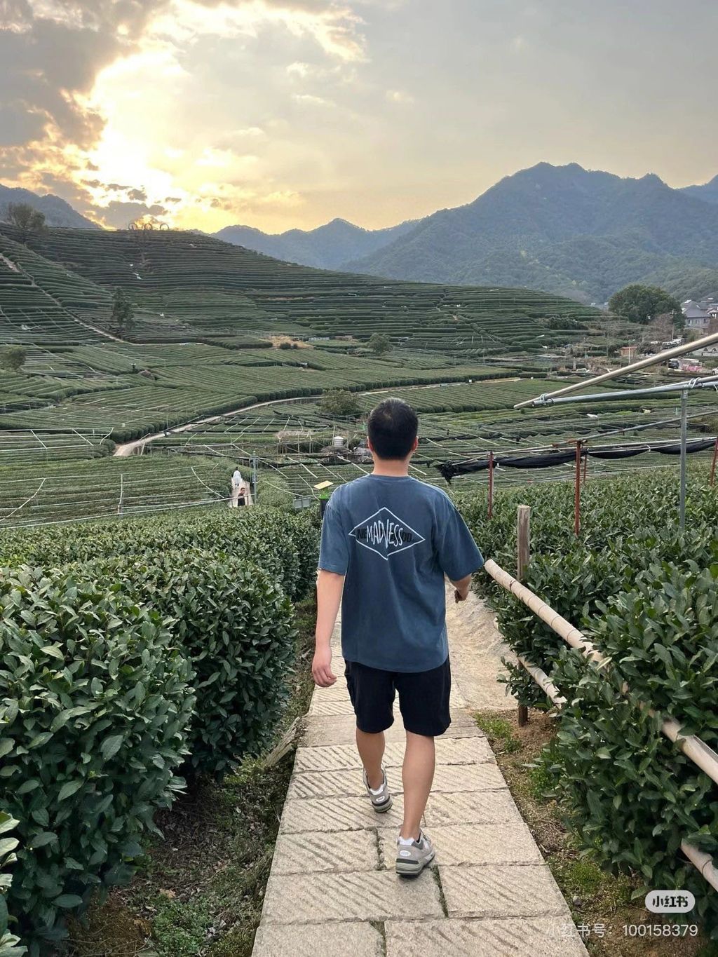 image_3FC3D33E-8CB2-46E9-92FE-07EF8D7F40A0_1751606394