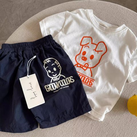 O1CN01ooo2462Gkn1dqPaqX_!!2217766939054-0-cib