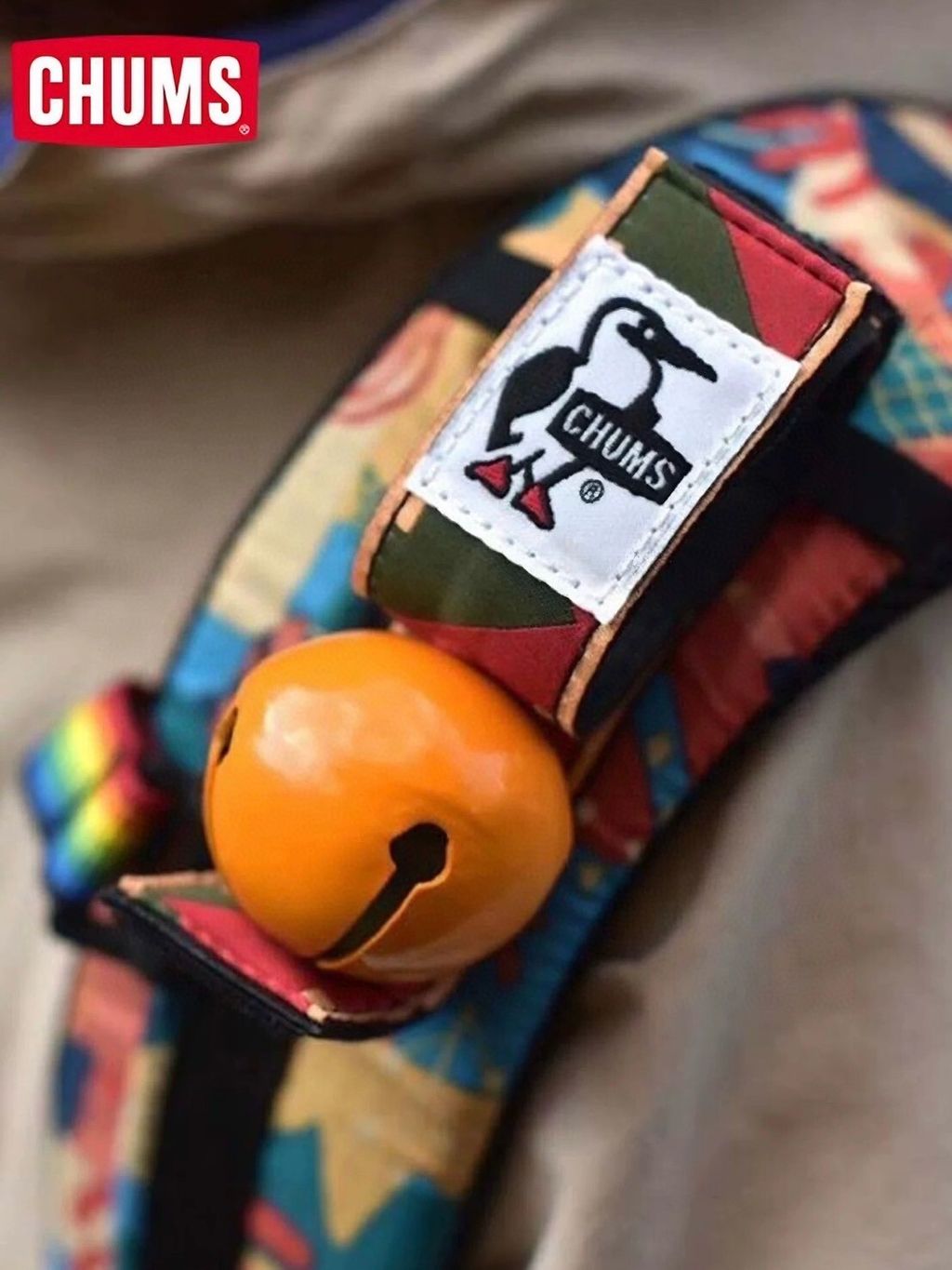 LINE_ALBUM_2025829 _1_250829_13