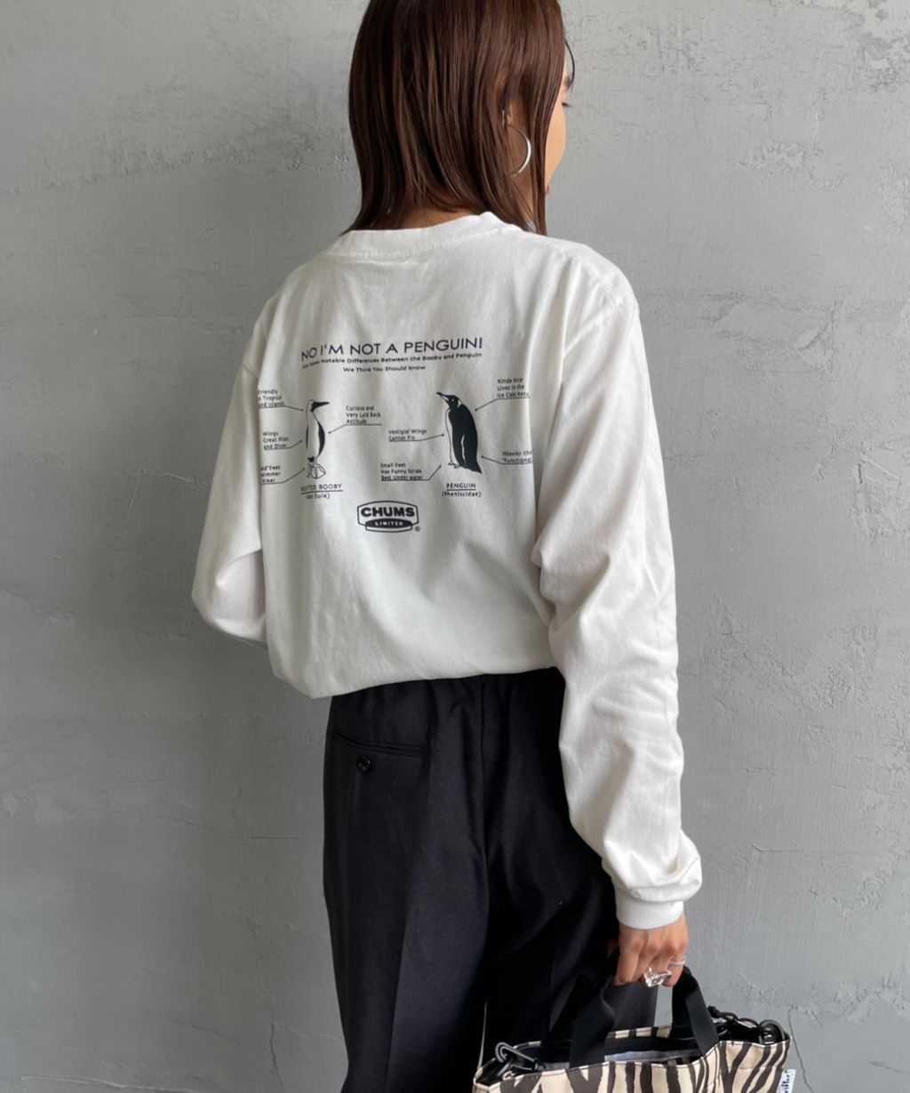 wsxc1758646718262_15